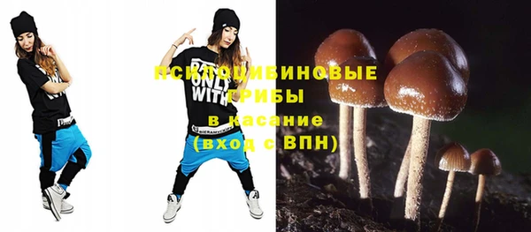 гашик Елабуга